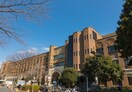 東京大学医学部附属病院(病院)まで961m ＥＤＩＴ御茶ノ水妻恋坂