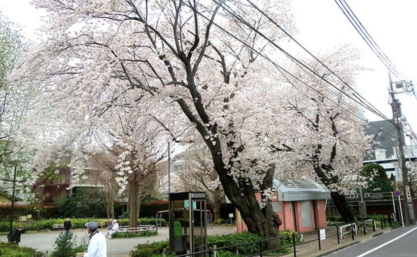 原町田わかば公園(公園)まで525m ア－デン町田