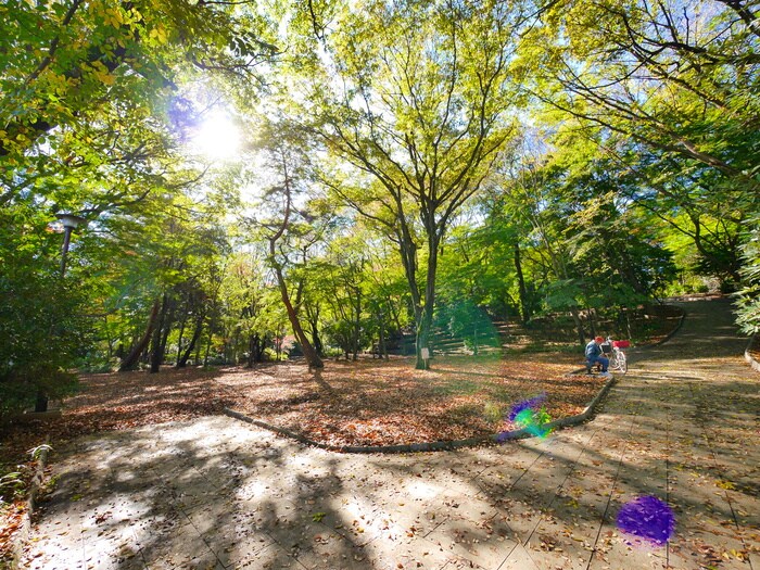 石神井公園(公園)まで1000m メゾネットミサキ