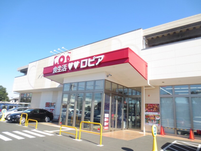 LOPIA(ロピア) 石川店(スーパー)まで237m ハイツ秋葉台