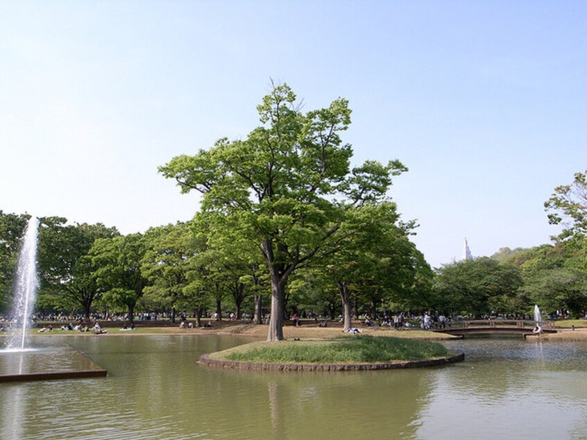 都立代々木公園(公園)まで300m アピス渋谷神南