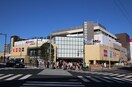 イオンモール多摩平の森(ショッピングセンター/アウトレットモール)まで710m メゾンアンネタ－ジュ２