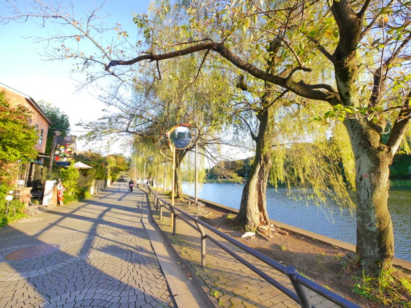 石神井公園(公園)まで200m レジデンスＡＫ