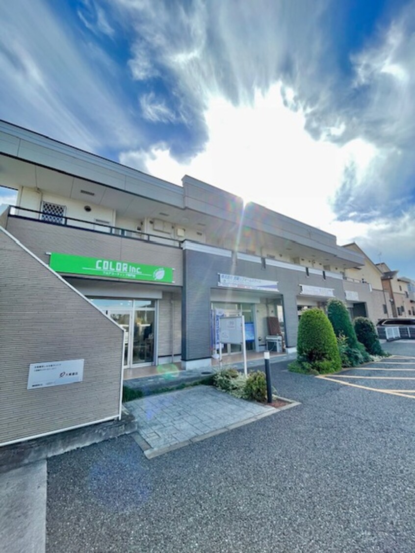 その他 ブルーローズ