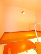 ロフト コーラル信栄