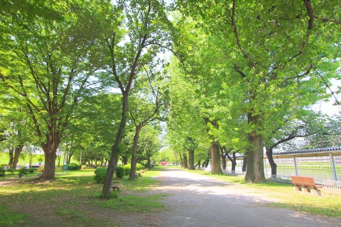 埼玉県営戸田公園(公園)まで290m ヴィクトワール