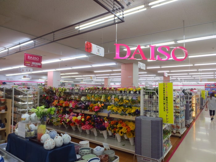 ザ・ダイソーエスポット新横浜店(100均)まで543m サニ－リヴ北新横浜