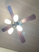 内観写真 SEYA　BASE