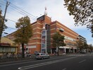 T-PLATZ]綱島店(ショッピングセンター/アウトレットモール)まで140m 浅間荘