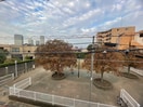 室内からの展望 第５デュオレスズエ