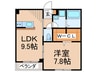 ラ・フォリア成城 1LDKの間取り