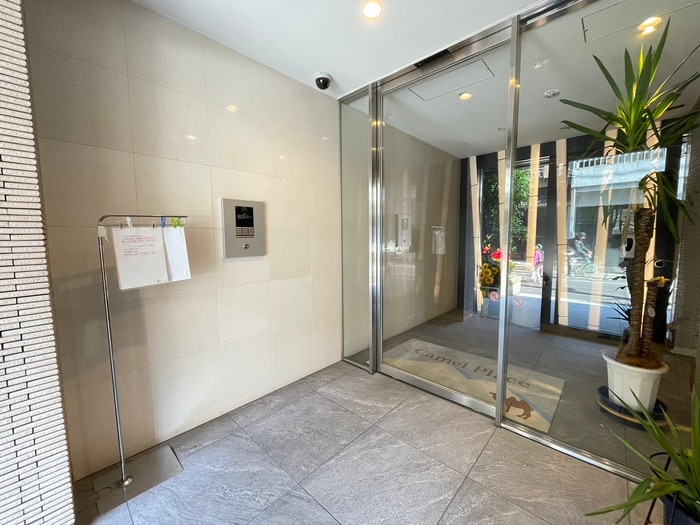 エントランス部分 キャメルプレイス