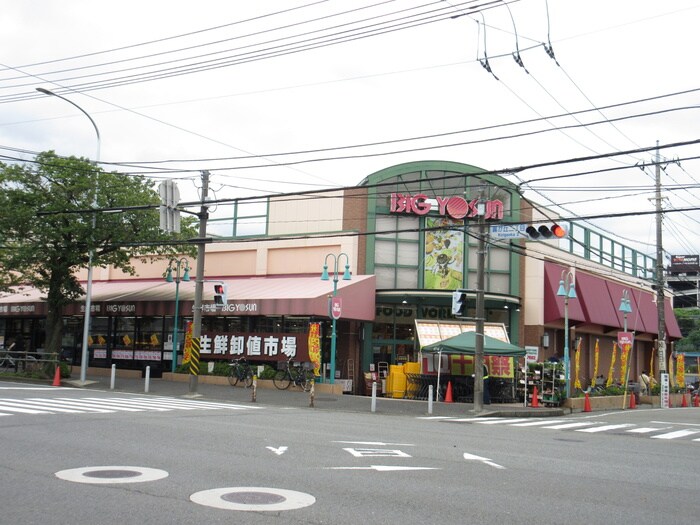 ビッグヨーサン　十日市場店(スーパー)まで259m シャトレ－寿