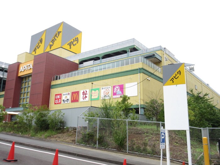 アピタ　長津田店(デパート)まで351m シャトレ－寿