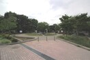 駒沢小泉公園(公園)まで552m ﾙｰﾌﾞﾙ駒澤大学Ⅱ