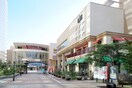 深川ギャザリア(スーパー)まで1100m LASPACIO東陽町レジデンス