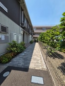 エントランス部分 メゾンシェーヌ