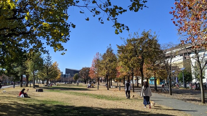 市民の森見沼グリーンセンター(公園)まで400m メッツァコ－ト
