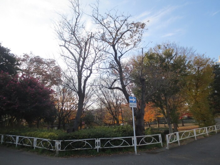 美しの森公園(公園)まで985m 桜木ハイム