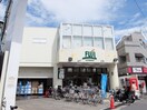 スーパーマーケットフジ用賀店(スーパー)まで191m ラグゼナ用賀