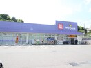 ウェルパーク 町田鶴川店(ドラッグストア)まで450m Felice鶴川