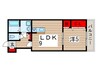 ルラシオン 1LDKの間取り