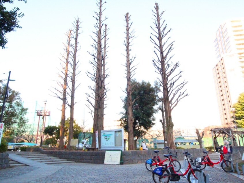 目黒区民センター公園(公園)まで200m レジディア目黒Ⅲ