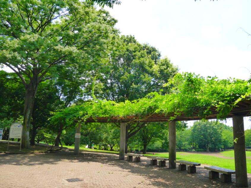 祖師谷公園(公園)まで110m ハウジング水野