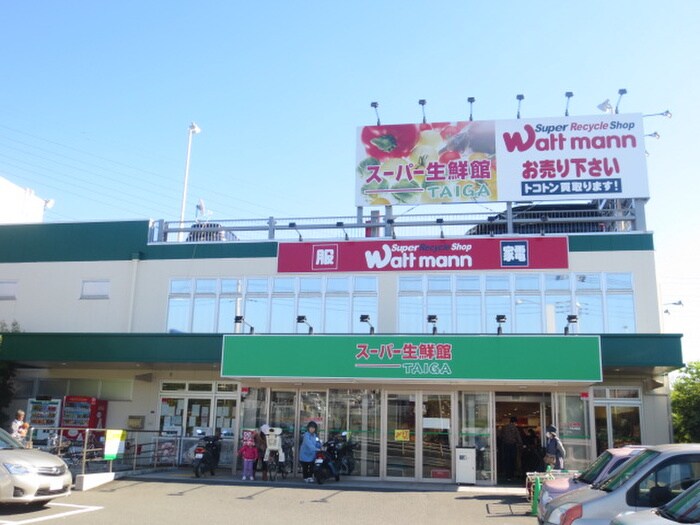 スーパー生鮮館TAIGA 藤沢石川店(スーパー)まで210m 下ノ根グレイワン