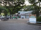 交通公園(公園)まで550m 鈴木アパート