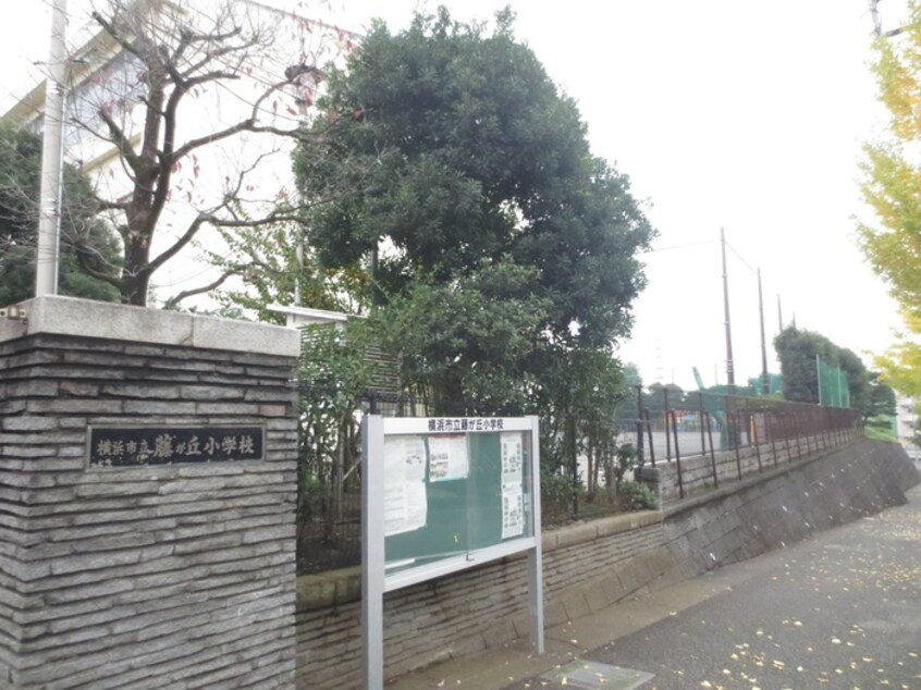 横浜市立藤が丘小学校(小学校)まで214m 藤が丘吉浜邸　Ｂ棟