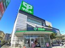 サミットストア　五反野店(スーパー)まで341m ルネコート五反野　弐番館