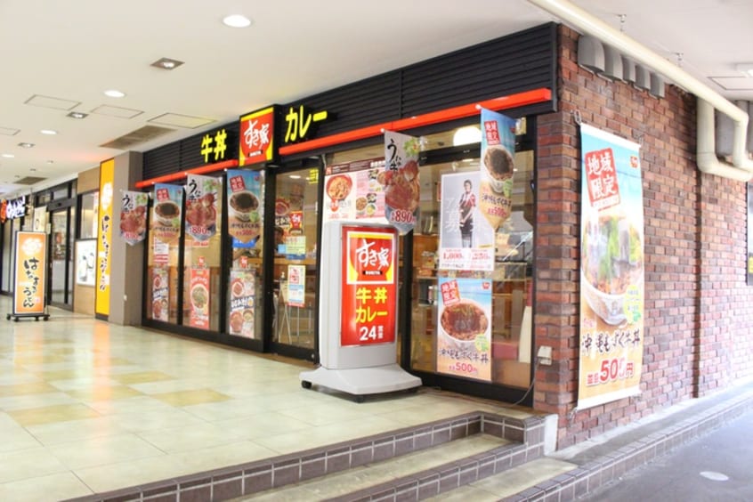 すき家(ファストフード)まで815m ハイツニュータマ