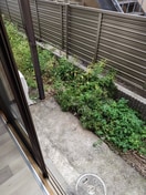 ベランダ・バルコニー ホワイトハイツ