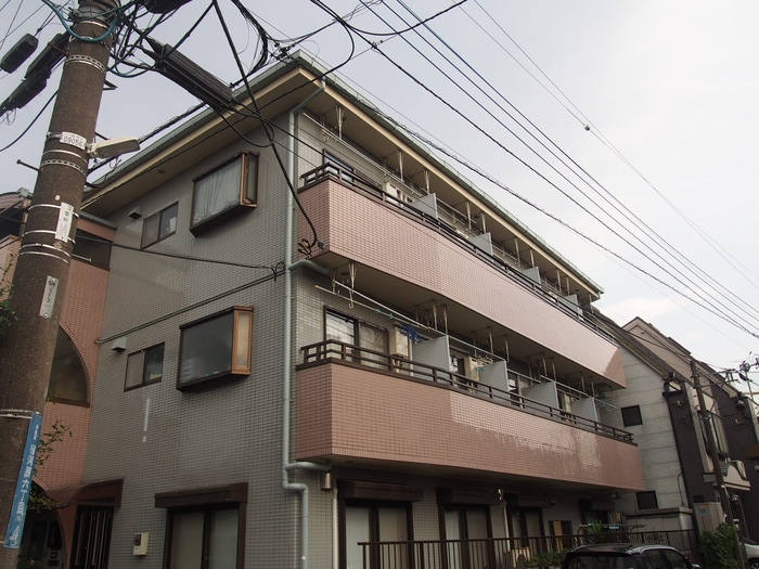 その他 フェニックス盛高
