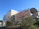 昭和音楽大学(大学/短大/専門学校)まで900m プライムア－バン新百合ヶ丘