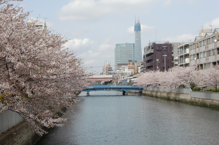 大横川(公園)まで449m Belleviage Kinshicho