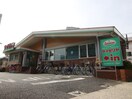 サイゼリヤ　(その他飲食（ファミレスなど）)まで266m 丸橋ビル