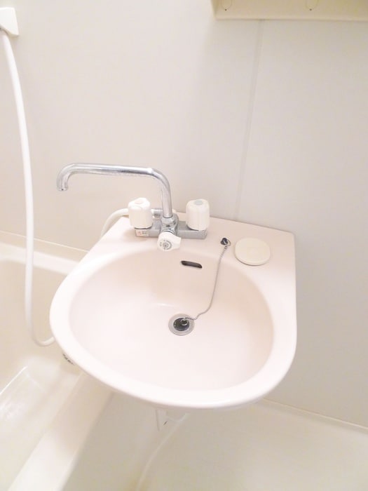 洗面 ハナミズキⅡ