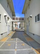 その他 ピソ桜木