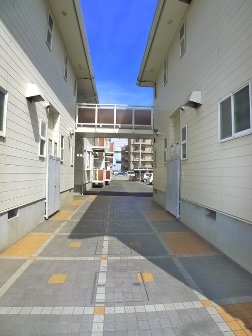 その他 ピソ桜木