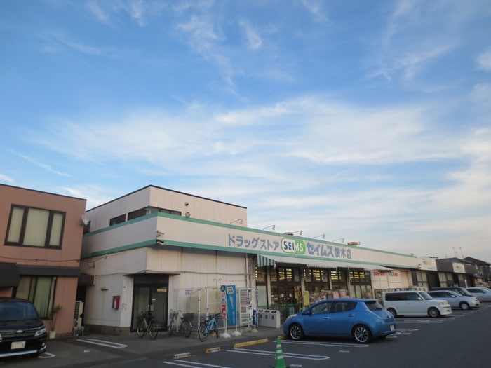 ドラッグセイムス桜木(ドラッグストア)まで641m ピソ桜木