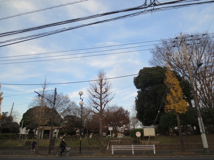 小倉台公園(公園)まで936m ピソ桜木
