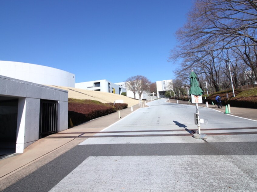 中央大学(大学/短大/専門学校)まで1420m コリーヌ・ドゥ・レーヴ