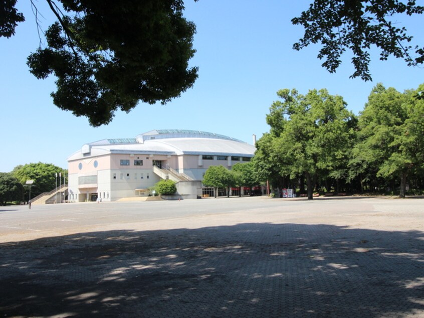 淵野辺公園(公園)まで333m サンシャイン中野