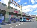 ダイソーミスターマックスおゆみ野店(100均)まで1000m ラファエル