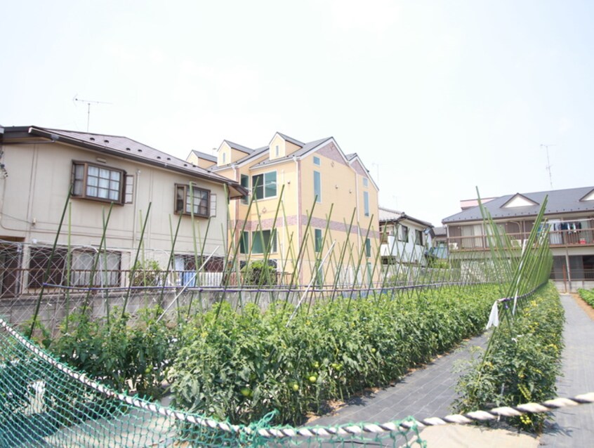 外観写真 さくら元住吉