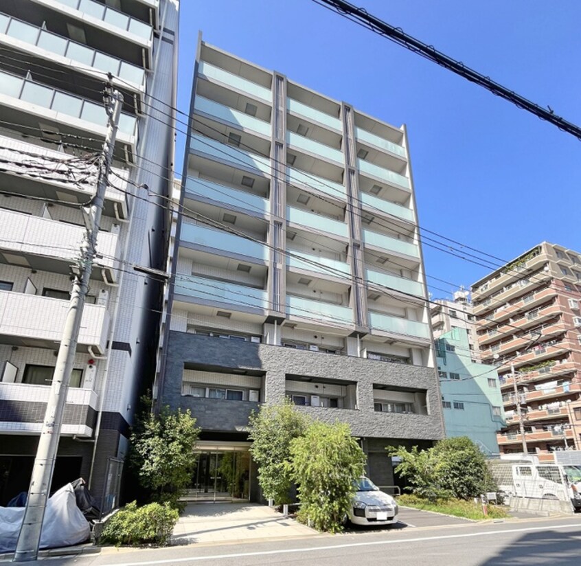 周辺環境 ステラマリス