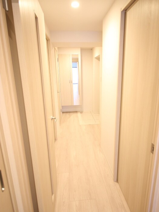 廊下 ステラマリス