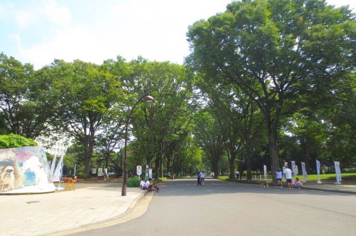 駒沢公園(公園)まで417m メゾンPaw